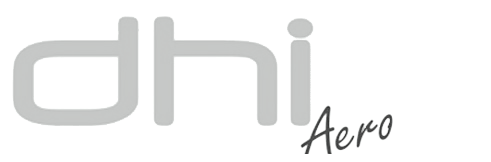 logo dh international